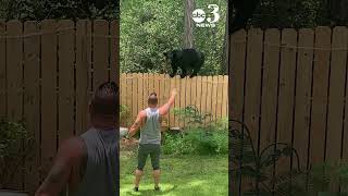 Man and his Yorkie encounter black bear at their Pace, Florida home