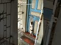بسه تدق الباب