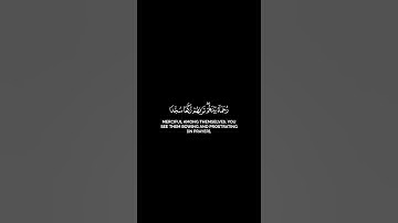 محمد رسول الله والذين معه أشداء على الكفار رحماء بينهم تراهم ركعا . [ سورة الفتح ]