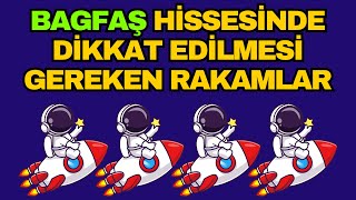 Bagfaş Hisse Senedi Yorumu