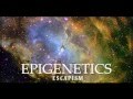 Epigenetics - The Endless Search