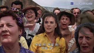Splendor In The Grass - part1