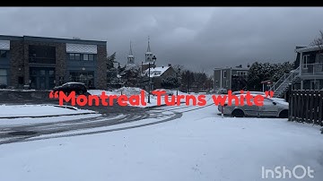 “Montreal’s First Snowfall of 2025 ❄️ A Magical Winter Morning!”