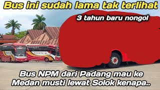 Download Lagu Tiga tahun tak terlihat sekarang baru nongol bus ini MP3