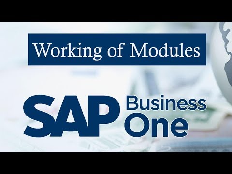 SAP Business One | Working of Modules | Describing Menus | Models of the SAP B1
