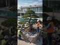 The art of Bonsai on a tropical beach🌊 #shorts #ZenGarden #Architecture #LuxuryVilla #timelapse