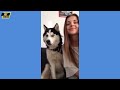 Hilarious Funny Dog Compilation| Cutest and Funniest Dogs Ever! Compilation #74 | Pet Comedia