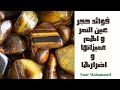 فوائد عين النمر و اهم طرق استخدام عين النمر فوائد عين النمر و اهم طرق استخدام عين النمر