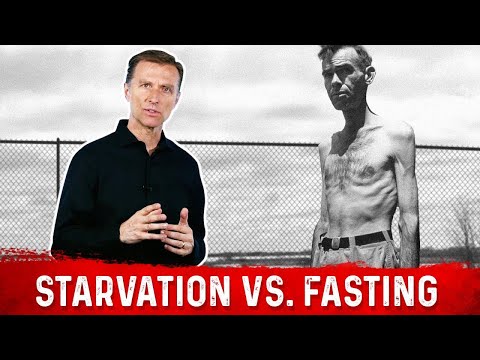 The Minnesota Starvation Experiment