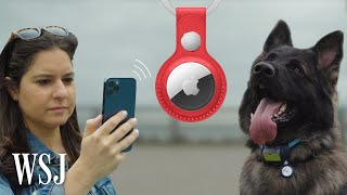 Apple AirTag vs. Drug-Detection Dog: Best Way to Find Your Lost Stuff | WSJ