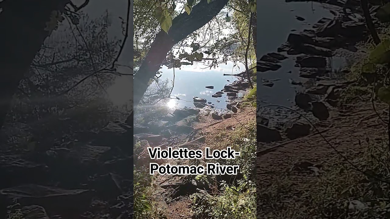 Potomac River Fishing 