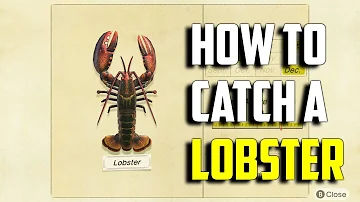 When can you catch a lobster in Animal Crossing?