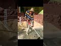 #concrete #mix #machine #indian #talent #work #home #building #shorts #shortvideo #shortsbeta #2022