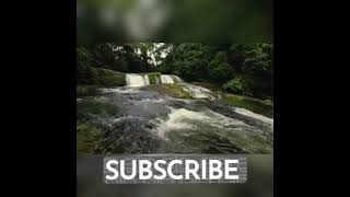 Download Lagu Gemericik Air mengalir | cocok untuk terapi burung macet,malas bunyi,stress dan males mandi ๐ .. Download Lagu Gemericik Air mengalir | cocok untuk terapi burung macet,malas bunyi,stress dan males mandi ๐ ..