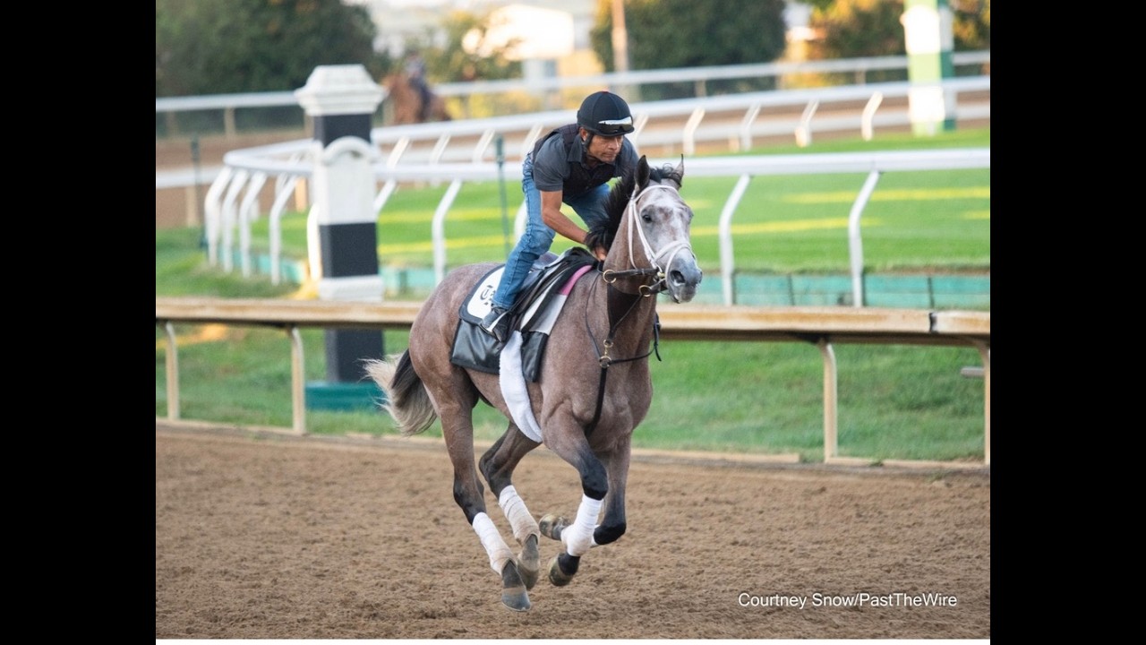 The Fountain of Youth Thorograph Numbers, The Rebel  and Kentucky Derby Radar