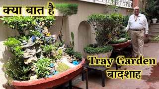 क्या बात है Tray Garden Etna Bada Collection omg!!!!! Tray Garden Creation with Indoor Plant