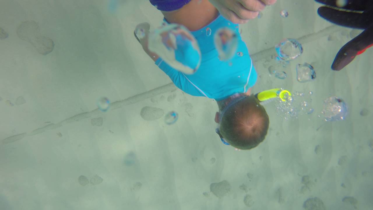 OAHU, HAWAII Spearfishing Makaha Oct 2015 YouTube