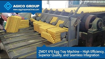 ZMDT 6*8 Egg Tray Machine – High Efficiency, Superior Quality, and Seamless Integration