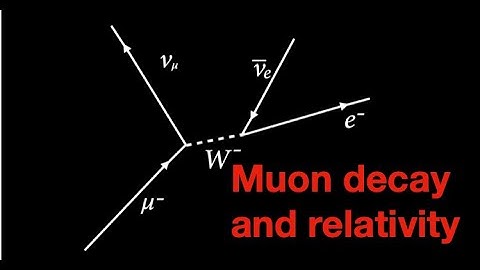 Muon decay and relativity: From fizzics.org