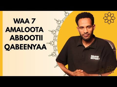 Icitii Fi Amaloota Abbootii Qabeenyaa