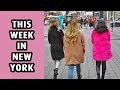 This Week in New York City