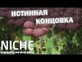 Возвращение на родной Остров Адама! Niche – a genetics survival game #22