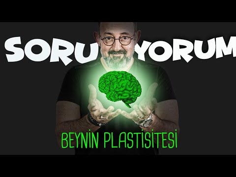 Video: Plastisite testi nedir?