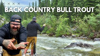 2 Days in Bull Trout Country - Deep in Canadas Mountain Country - Alberta Canada