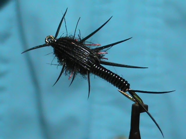 Wired Stonefly Beadhead Nymph Realistic - Fly Tying Directions 