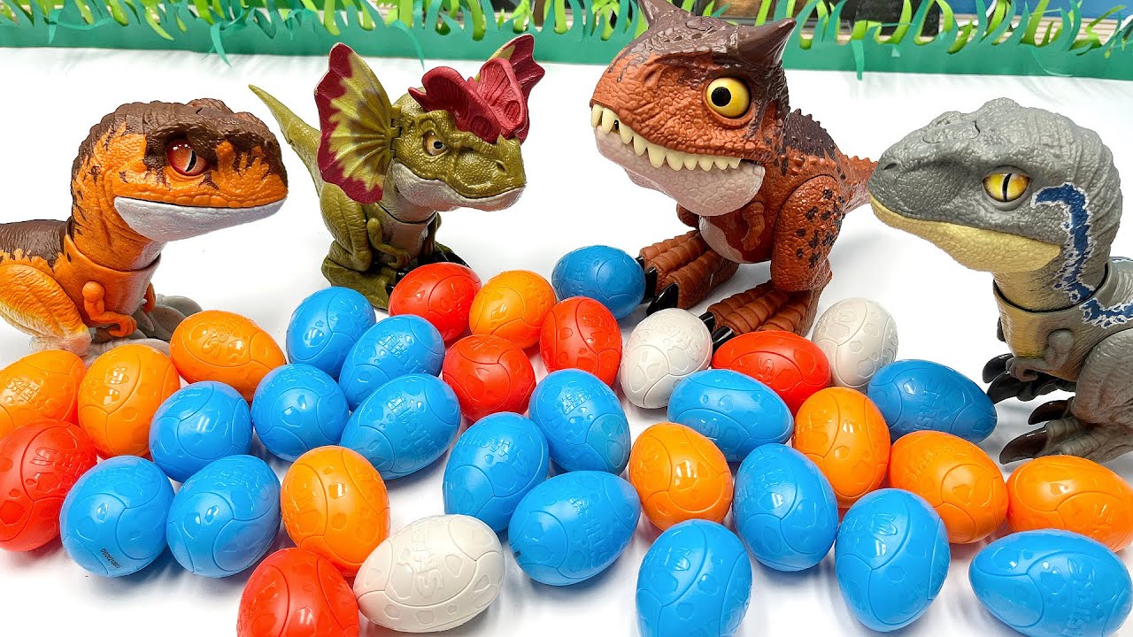 Animal Planet Dinosaur Super Grow Eggs - Dino Toys Hatch & Grow in Water to  3X Size!- Real Life Pterodactyl, Carnotaurus and Parasaur!: Buy Online at  Best Price in UAE 