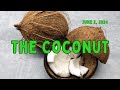 Pb umc live stream june 02  2024  the coconut