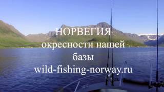 РЫБАЛКА В НОРВЕГИИ. ПОДВОДНАЯ ОХОТА В НОРВЕГИИ.Wild Fishing Norway