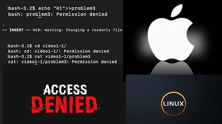 bash: Permission denied | cant open file for writing | permission denied read-only file system