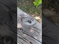 Новый проект. Форма для гибкой доски. Антикварная доска. Амбарная доска