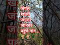 Janglekhali janwar pahuncha ganw ki or #how #song #lifeisbutadream
