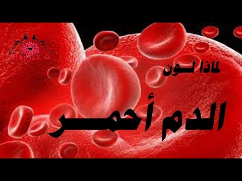 فيديو: ماذا يعني أحمر الدم؟