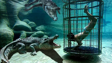 ¿Se puede nadar más que un cocodrilo?