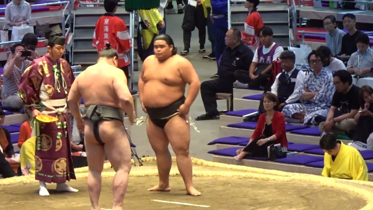 速報❗️旭富士 vs 竜鳳［幕下］【大相撲令和8年7月場所】7日目