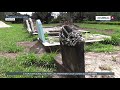 A taputapuatea les familles prfrent leurs jardins au cimetire pour enterrer leurs dfunts