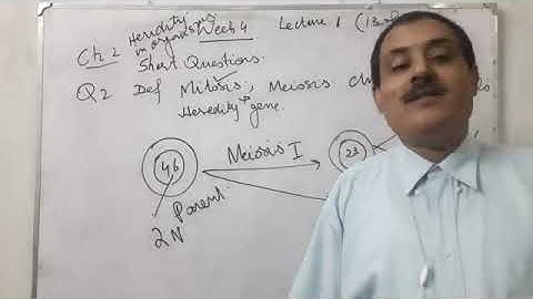 General Science 8th Lec 13 week 04 Solution of Exerise chap 02