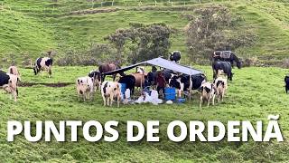 ALTA RENTABILIDAD CON 32 VACAS EN PASTOREO - FINCA ISRAEL, COLOMBIA 🇨🇴