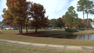 Court documents reveal more details surrounding FBI shooting death in Gulf Shores