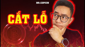 PHÂN TÍCH BITCOIN HÔM NAY: CÓ NÊN CẮT LỖ ALTCOIN?