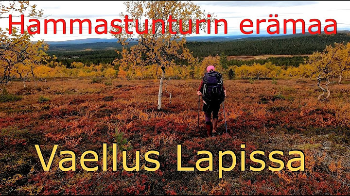 Hammastunturin erämaa Vaellus Lapin tuntureilla. Suivakkojärven autiotupa
