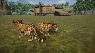 Planet Zoo  Jaguar