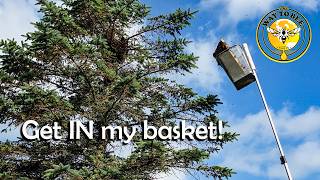Swarm Too High IN July or is it? Let's get what we can.