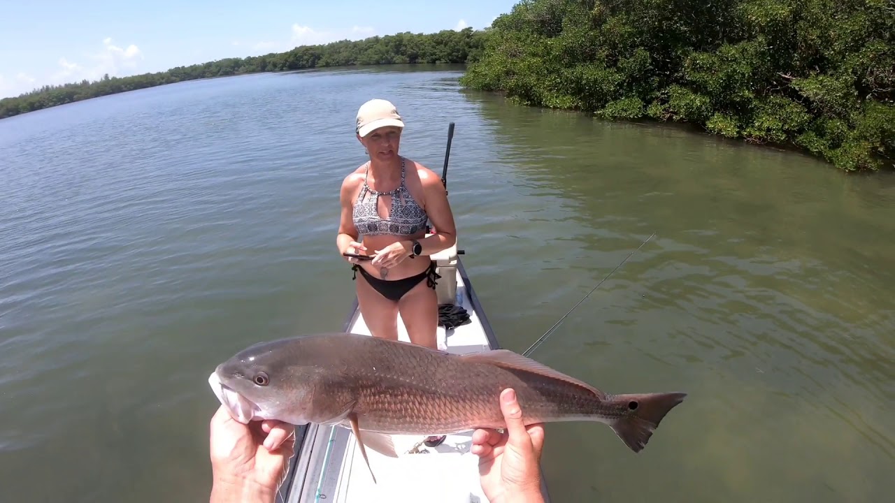 Mangrove Combat Fishing YouTube