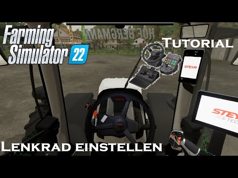 LENKRAD einstellen, Tutorial, DEADZONE