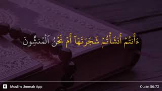 Al-Waqi'ah ayat 72
