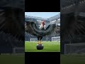Tottenham Hotspur Logo in Action